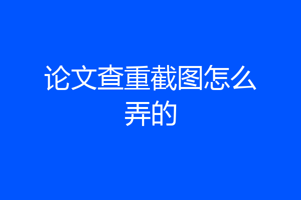 论文查重截图怎么弄的