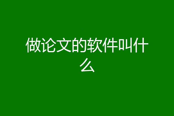 做论文的软件叫什么