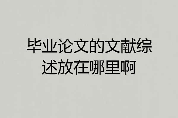 毕业论文的文献综述放在哪里啊