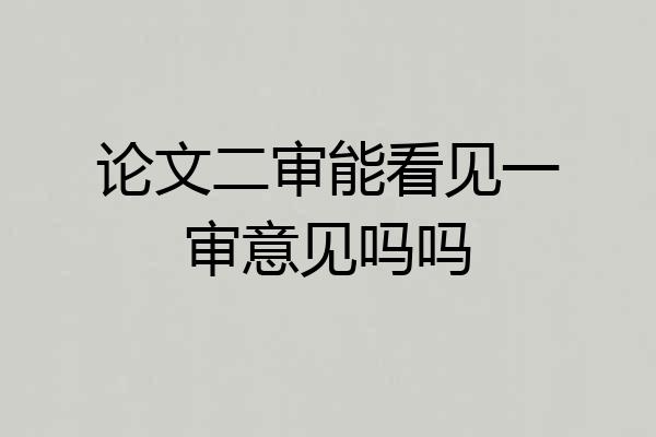 论文二审能看见一审意见吗吗
