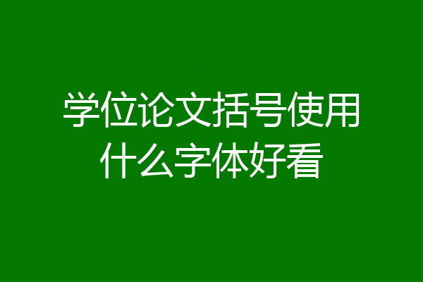 学位论文括号使用什么字体好看
