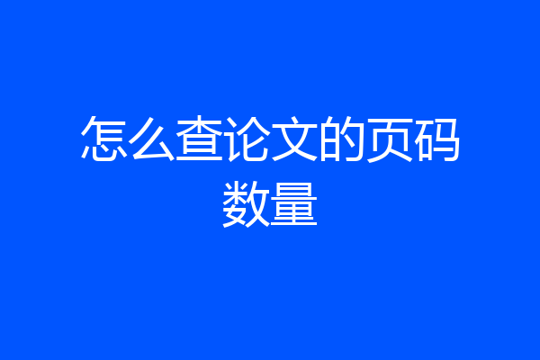 怎么查论文的页码数量