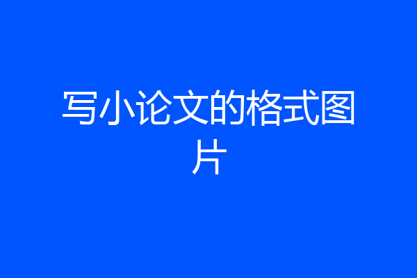 写小论文的格式图片