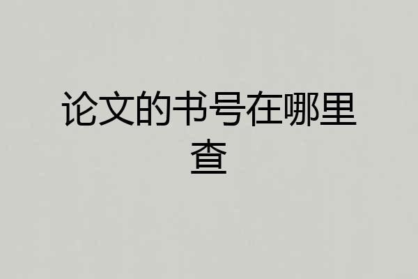 论文的书号在哪里查