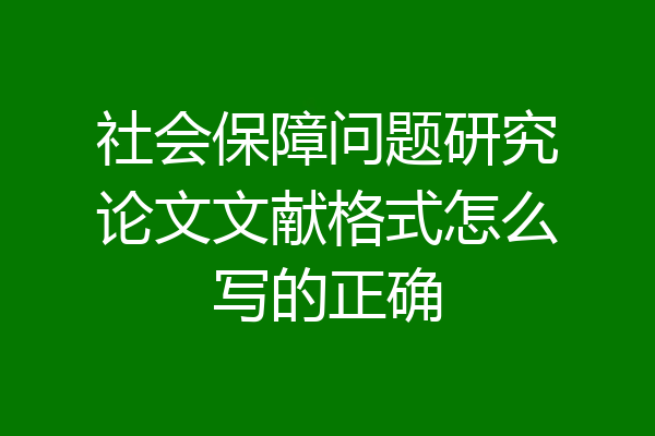 社会保障问题研究论文文献格式怎么写的正确