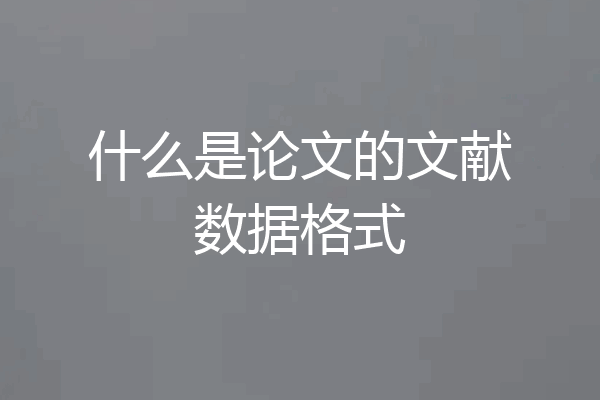 什么是论文的文献数据格式