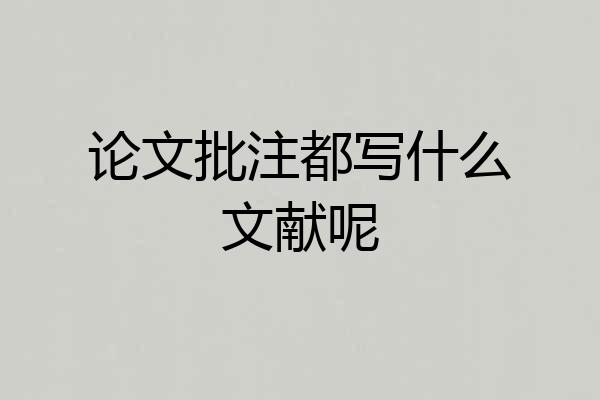论文批注都写什么文献呢