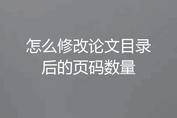 怎么修改论文目录后的页码数量