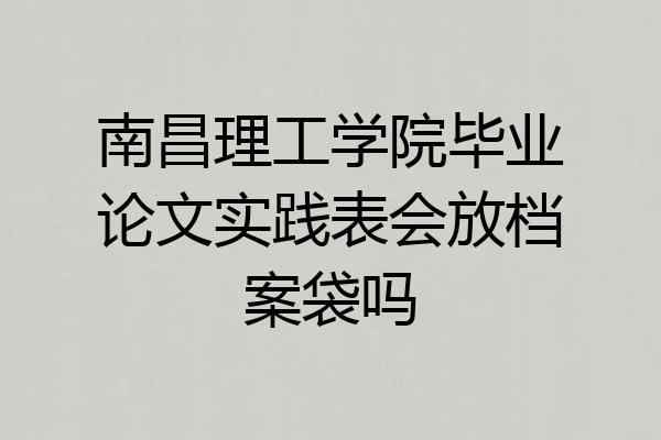 南昌理工学院毕业论文实践表会放档案袋吗