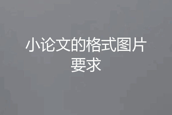 小论文的格式图片要求