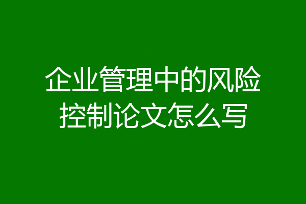 企业管理中的风险控制论文怎么写