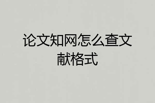 论文知网怎么查文献格式