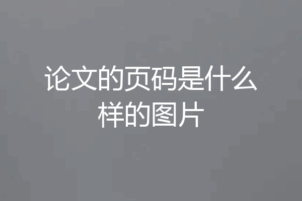 论文的页码是什么样的图片