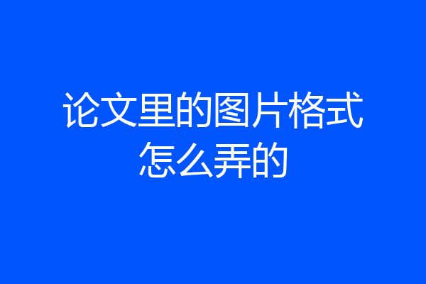 论文里的图片格式怎么弄的