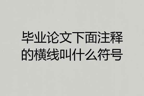 毕业论文下面注释的横线叫什么符号