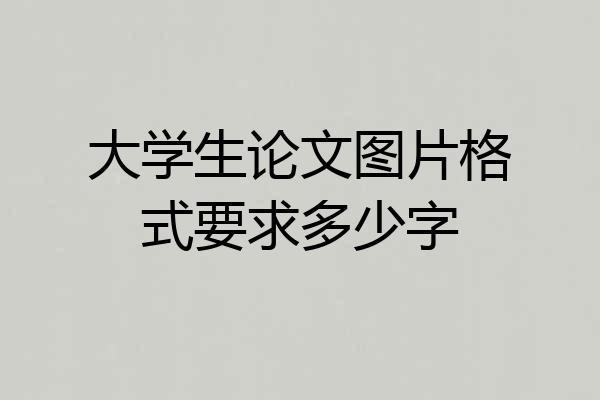 大学生论文图片格式要求多少字