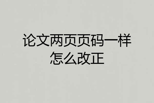 论文两页页码一样怎么改正