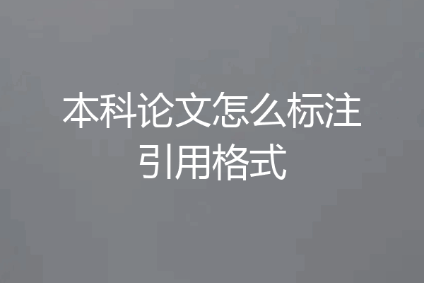 本科论文怎么标注引用格式
