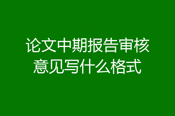 论文中期报告审核意见写什么格式
