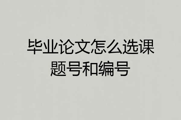 毕业论文怎么选课题号和编号