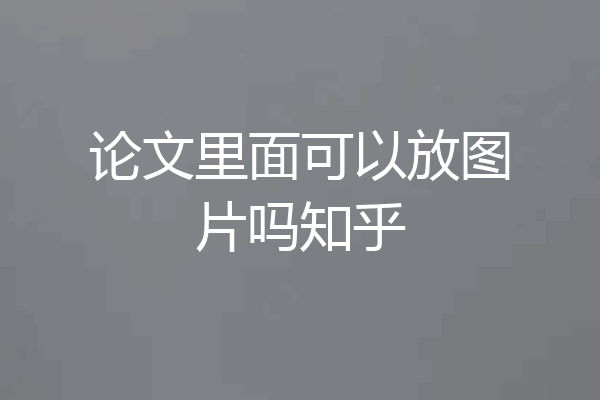 论文里面可以放图片吗知乎