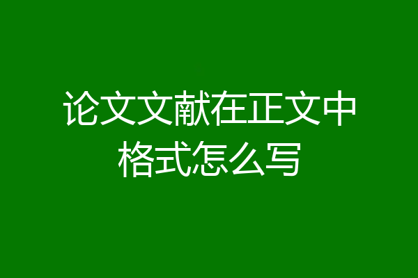 论文文献在正文中格式怎么写