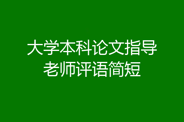 大学本科论文指导老师评语简短