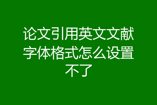 论文引用英文文献字体格式怎么设置不了