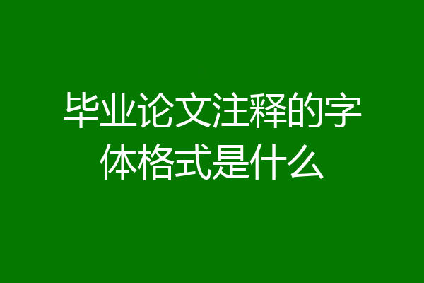 毕业论文注释的字体格式是什么