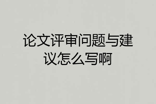论文评审问题与建议怎么写啊
