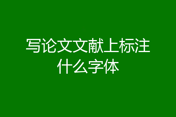 写论文文献上标注什么字体