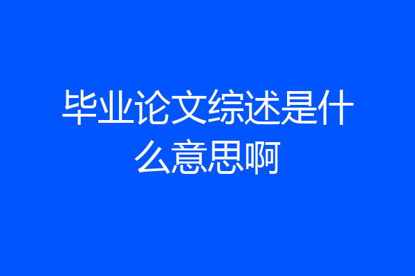 毕业论文综述是什么意思啊