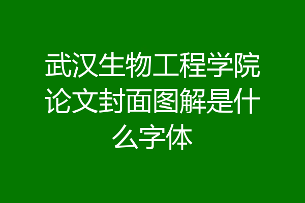武汉生物工程学院论文封面图解是什么字体