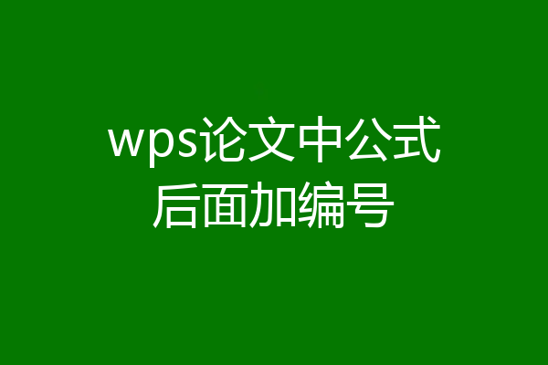 wps论文中公式后面加编号