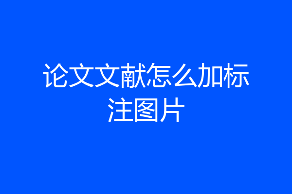 论文文献怎么加标注图片