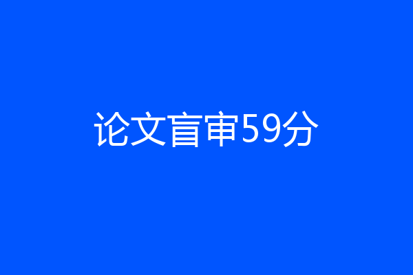 论文盲审59分