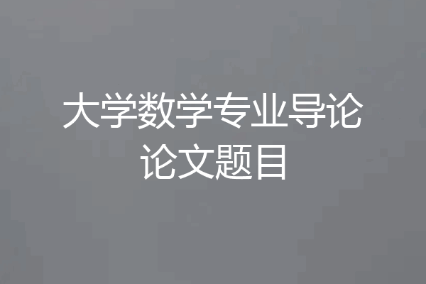 大学数学专业导论论文题目
