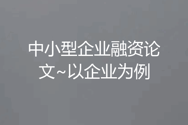 中小型企业融资论文~以企业为例
