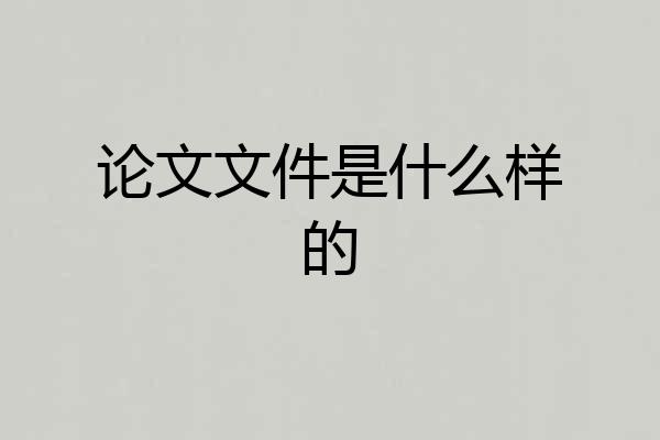 论文文件是什么样的