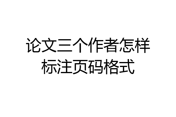 论文三个作者怎样标注页码格式