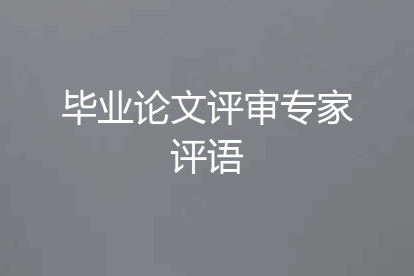 毕业论文评审专家评语