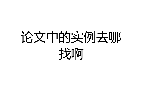论文中的实例去哪找啊