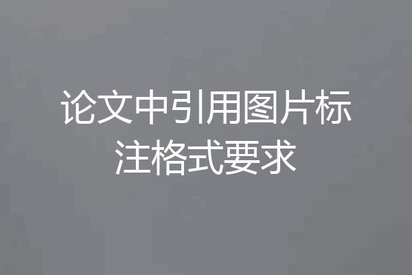 论文中引用图片标注格式要求