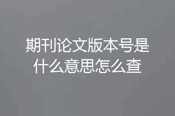 期刊论文版本号是什么意思怎么查