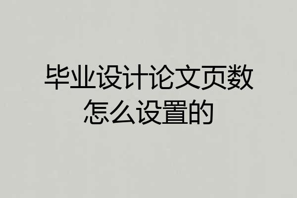 毕业设计论文页数怎么设置的