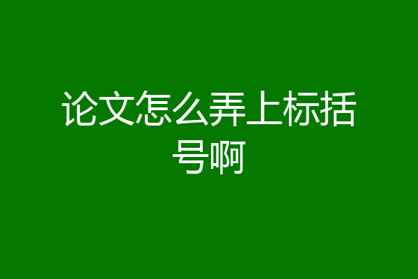 论文怎么弄上标括号啊