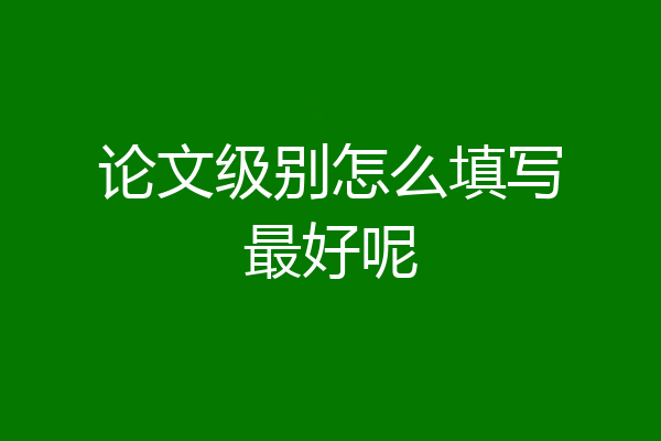 论文级别怎么填写最好呢