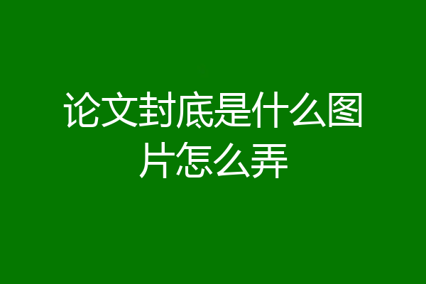 论文封底是什么图片怎么弄