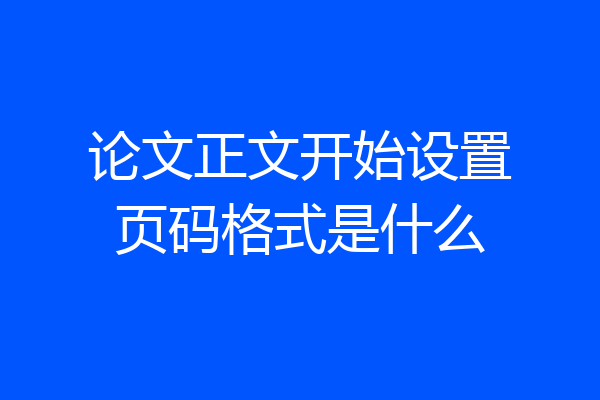 论文正文开始设置页码格式是什么