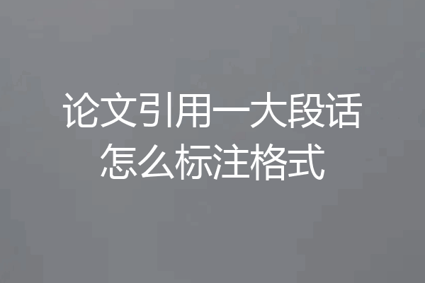 论文引用一大段话怎么标注格式